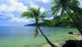 /album/fotogaleria/background-1-jpg/