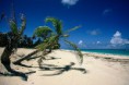 /album/fotogaleria/republica-dominicana1024-jpg/